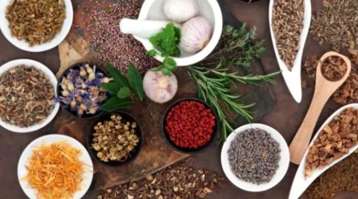 Powerlifting for Women - Fitness Rats Universe Teh herbal untuk meningkatkan energi alami