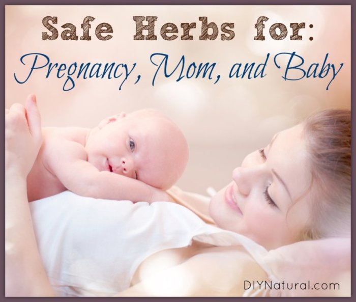 Safe Herbs for Pregnancy, Mom, and Baby