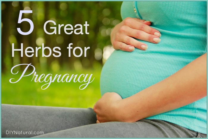 ๎Herbal๎ Medicine Use during ๎Pregnancy๎: Benefits and Untoward Effects ... ๎Herbal๎ Medicine Use during ๎Pregnancy๎: Benefits and Untoward Effects ...