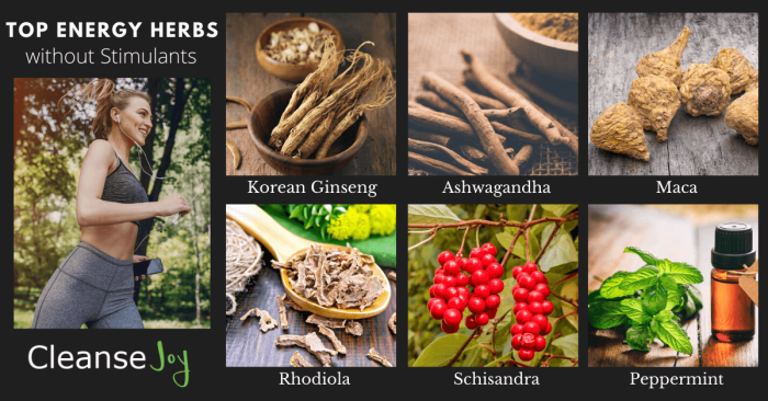 Herbs for Energy: Natural Clean Boost without Stimulants Herbs for Energy: Natural Clean Boost without Stimulants