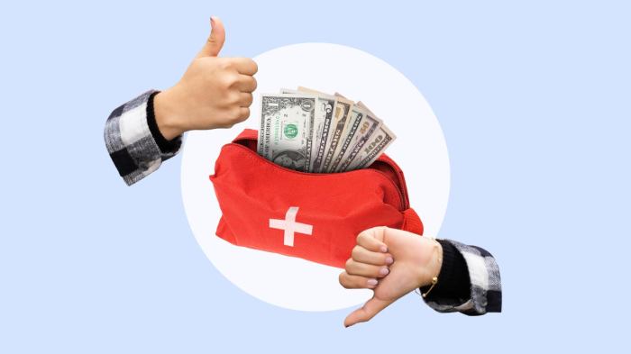 An Overview of Emergency Loans | Entrepreneurship in a Box