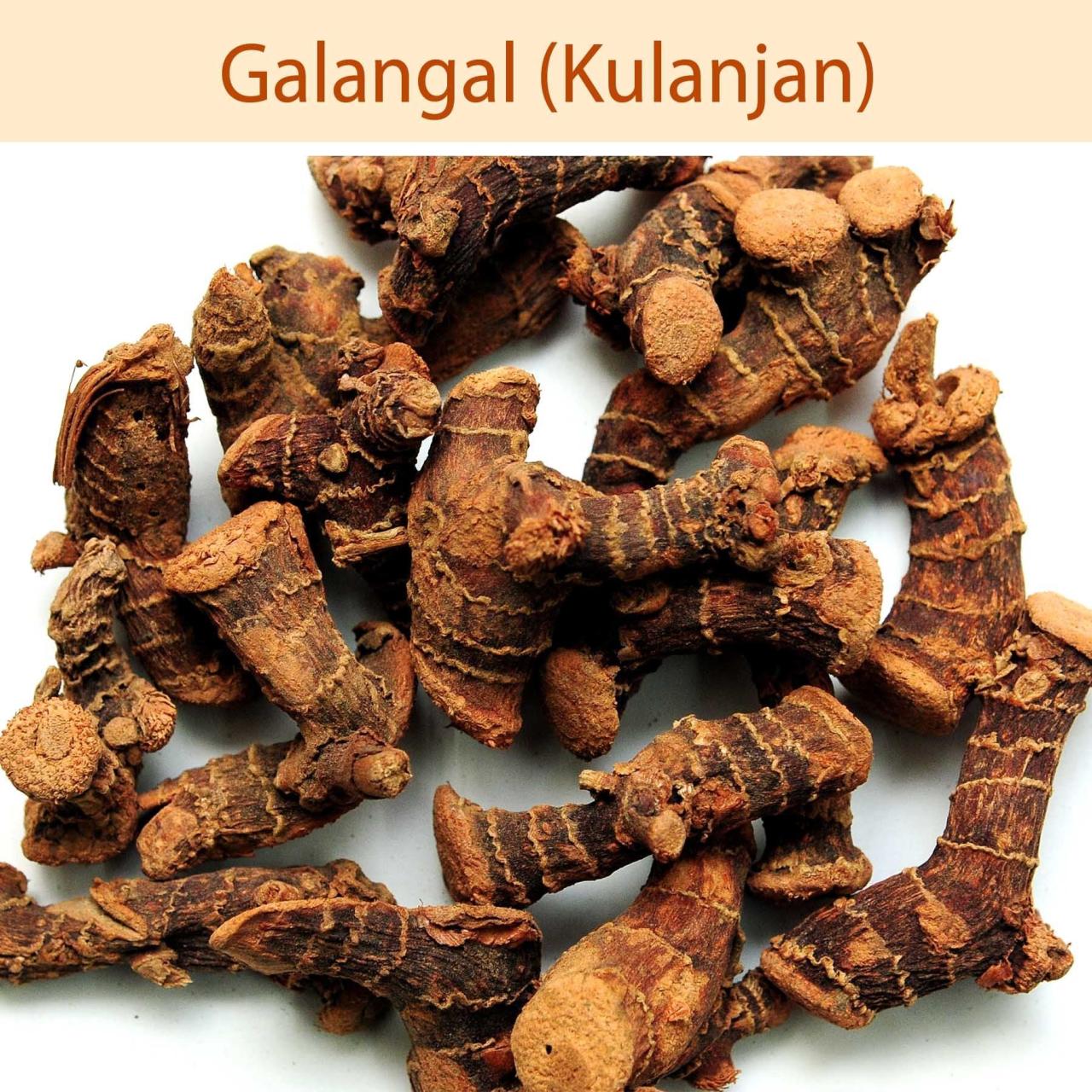 Lengkuas bahasa sunda