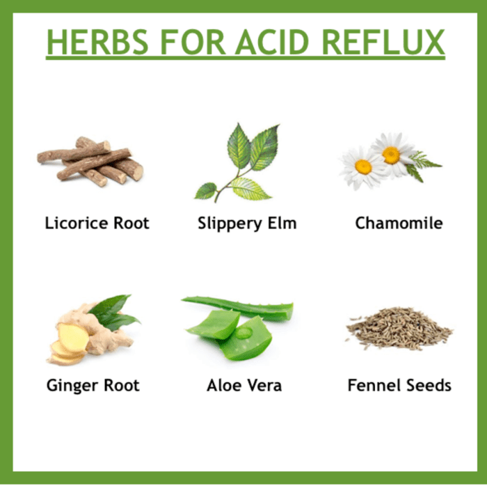 10 Home Remedies for Acid Reflux and The Problem with PPIs 10 Home Remedies for Acid Reflux and The Problem with PPIs