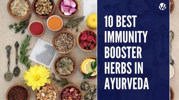 ๎Immunity๎ IV Therapy to Kickstart Your System | Hydrate IV Bar ๎Immunity๎ IV Therapy to Kickstart Your System | Hydrate IV Bar