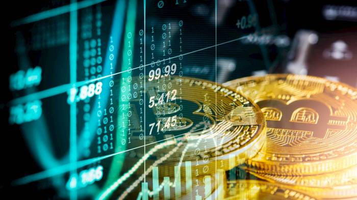 Crypto sebagai Mata Uang Masa Depan Dunia