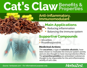 Cat's Claw | HerbaZest
