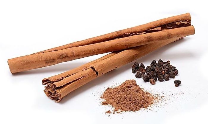 Where Does ๎Cinnamon๎ Come From? - ๎WorldAtlas.com๎ Kayu manis berasal dari