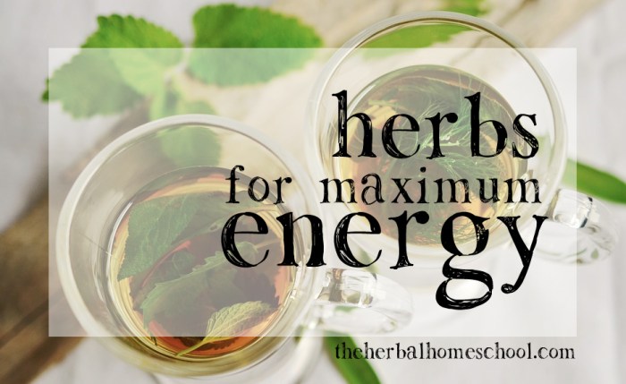 The Natural Way To Power: 12 Herbs For Energy Boost | Be Herbal ... The Natural Way To Power: 12 Herbs For Energy Boost | Be Herbal ...