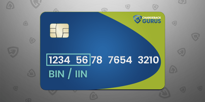 What Is a Bank Identification Number (BIN)? - SuperMoney What Is a Bank Identification Number (BIN)? - SuperMoney