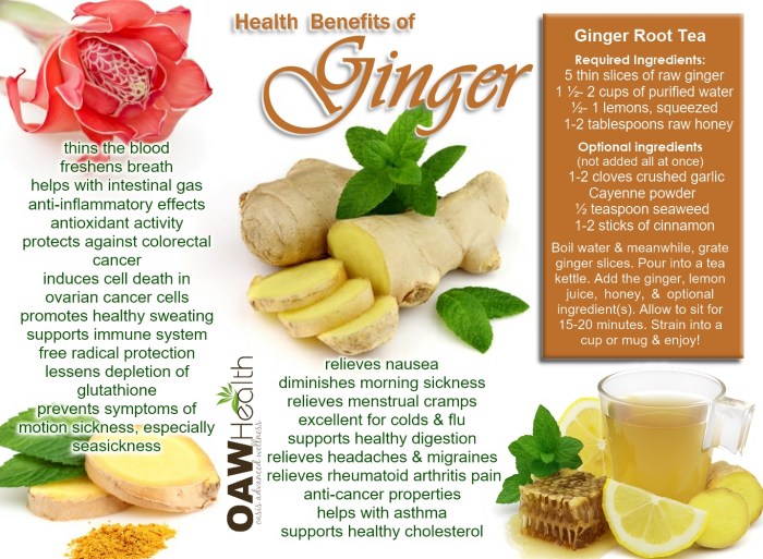 Health ๎Benefits๎ of ๎Ginger๎ - OAWHealth Manfaat jahe emprit