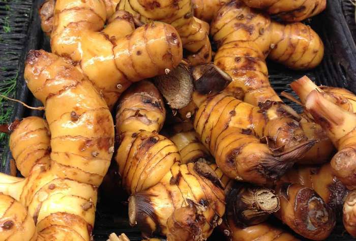 20 Science-Backed Health Benefits of Galangal Root - How To Ripe
