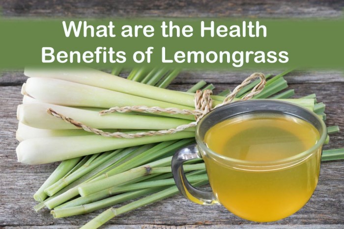 10 benefits of growing lemongrass in your garden – Artofit 10 benefits of growing lemongrass in your garden – Artofit