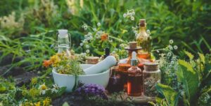 Teh herbal sehat kita