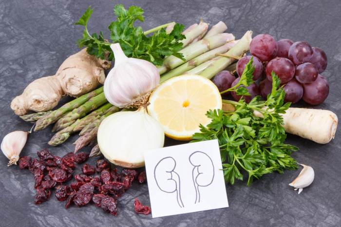 5 Magical Herbs for Kidney Health | Renal treatment | Karma Ayurveda ...