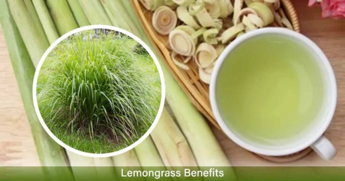 Lemongrass Tea: Benefits, Uses, And Recipe | atelier-yuwa.ciao.jp Lemongrass Tea: Benefits, Uses, And Recipe | atelier-yuwa.ciao.jp