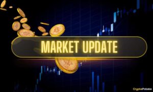 What Is AMP Crypto | Robots.net