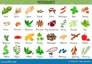 Sources Of Antioxidants Foods