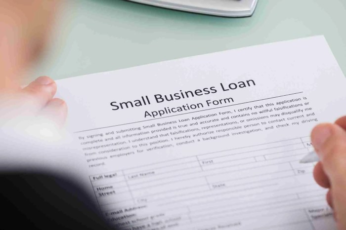 Small Business Loans: A Complete Step By Step Guide - eMoneyIndeed