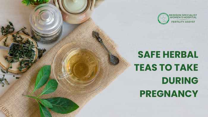 Safe Herbal Teas To Take During Pregnancy » The Medison Hostpital