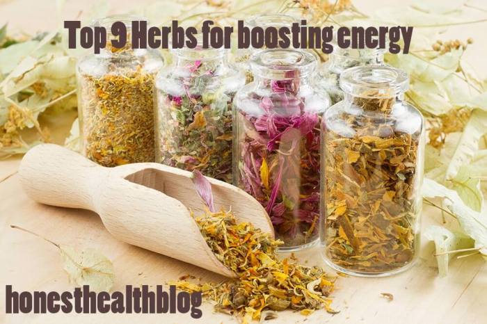 Top 9 best herbs to boost energy naturally - Natural and Healthy Living Top 9 best herbs to boost energy naturally - Natural and Healthy Living