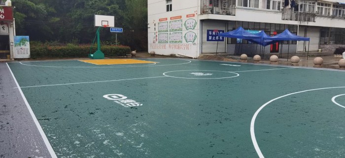 Interlocking Sports Backyard Basketball Court Flooring Tiles PP Mat ...