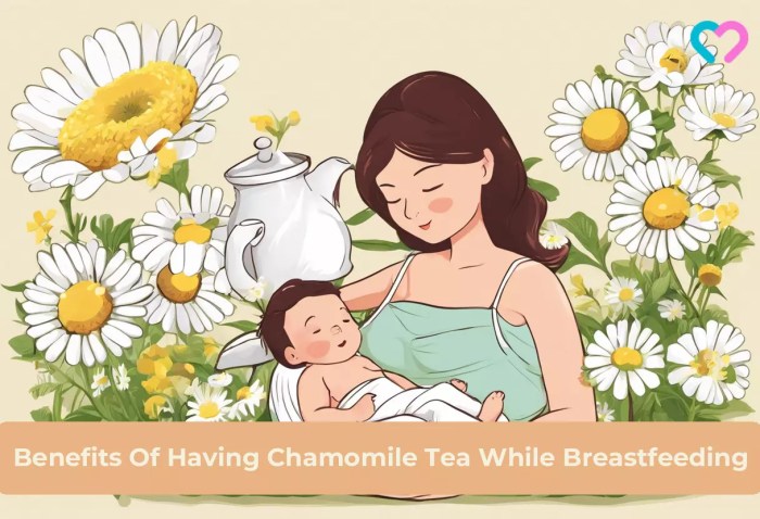 Chamomile Tea When Breastfeeding: Benefits And Precautions