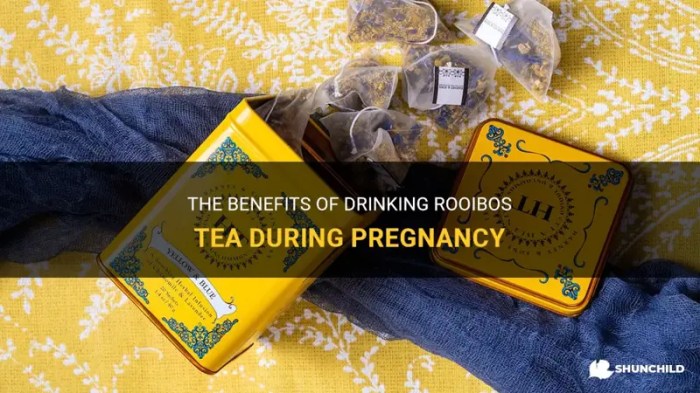 Teh rooibos untuk ibu hamil