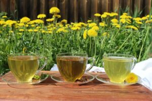 Teh dandelion di apotik