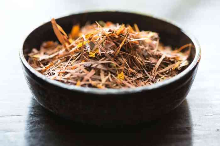 Teh rooibos untuk ibu hamil