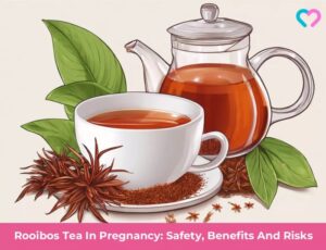 Rooibos Tea In Pregnancy: Safety, Benefits And Risks
