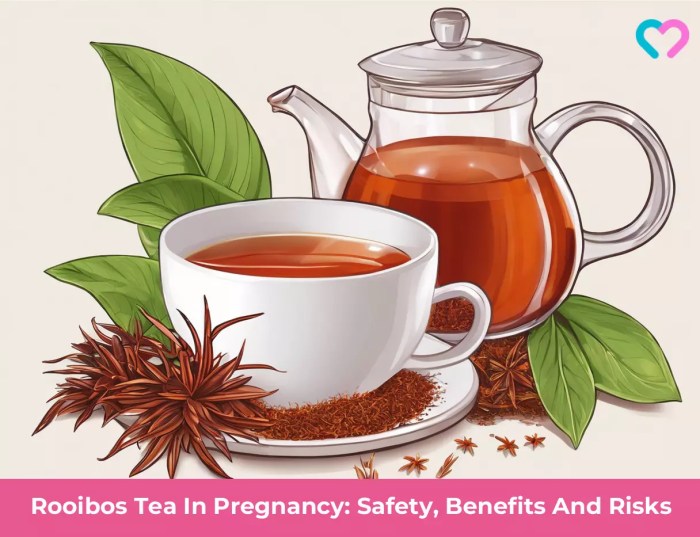 Rooibos Tea In Pregnancy: Safety, Benefits And Risks