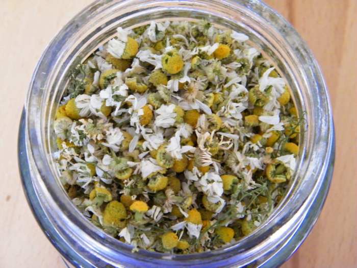 Chamomile kering