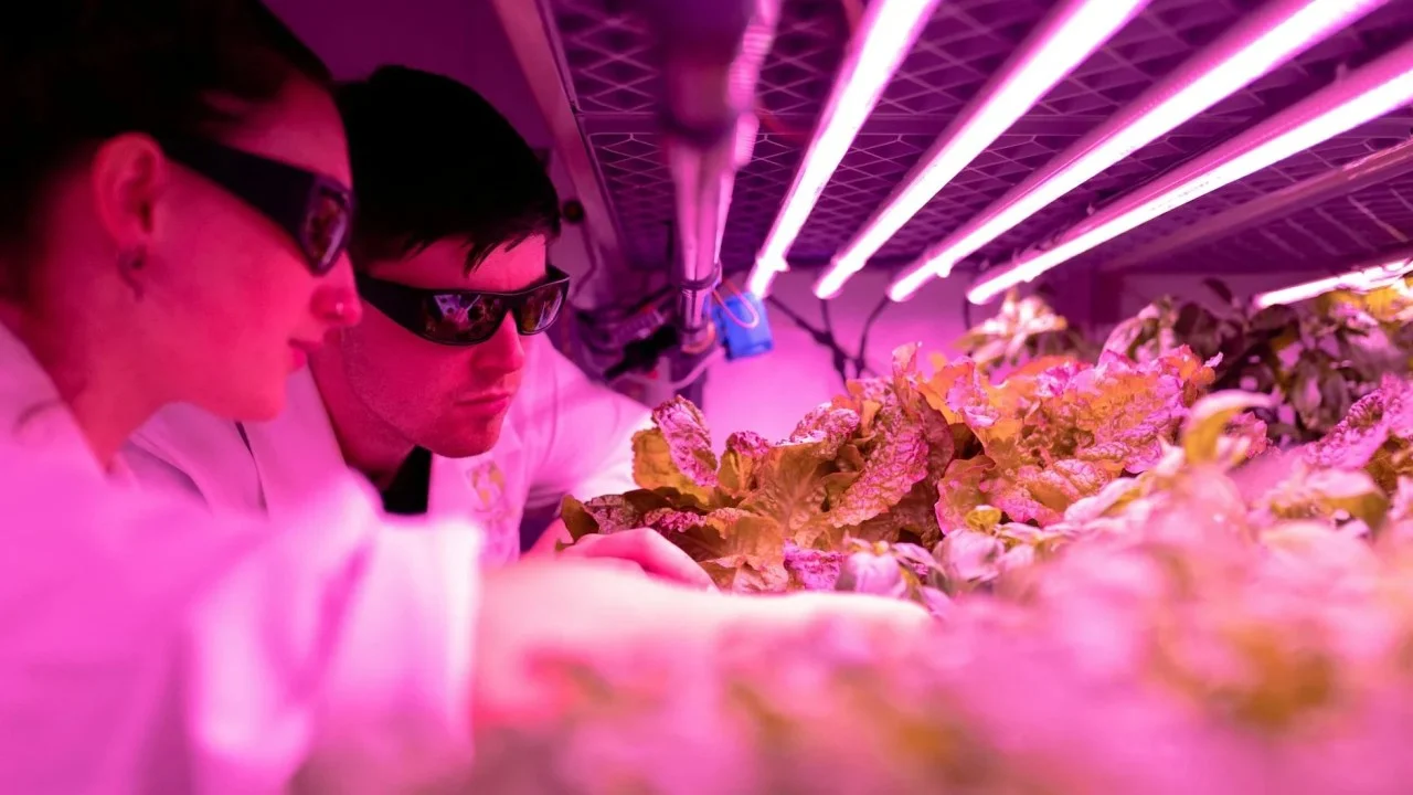 Food Technology Research