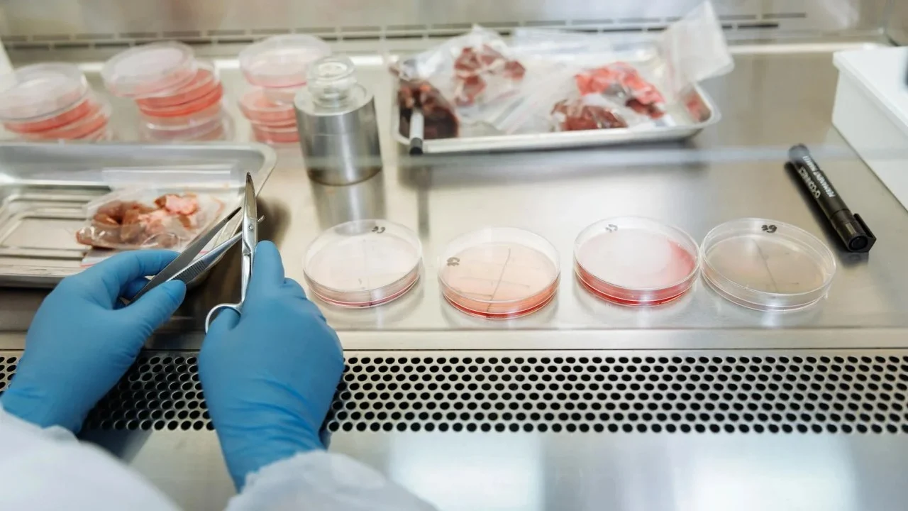 Food Science Laboratory