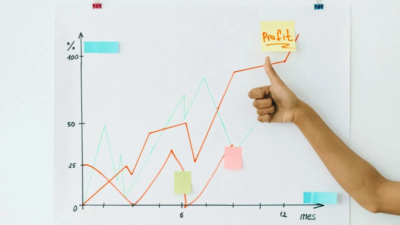 Success Growth Chart