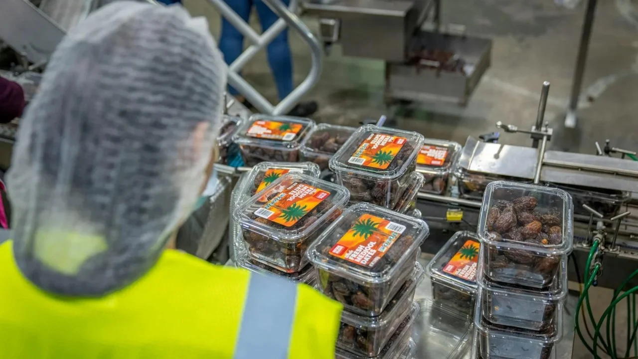 Factory Production Quality Control Food Processing