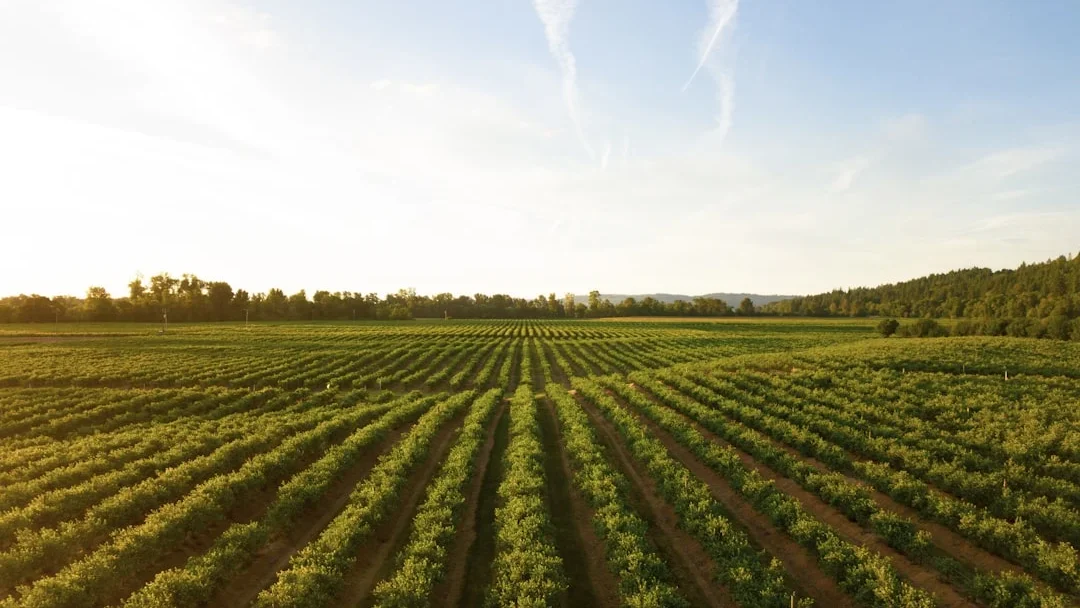 Agricultural Products Farm Supplies