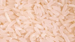 Corn Rice Staple Food Healthy Meal