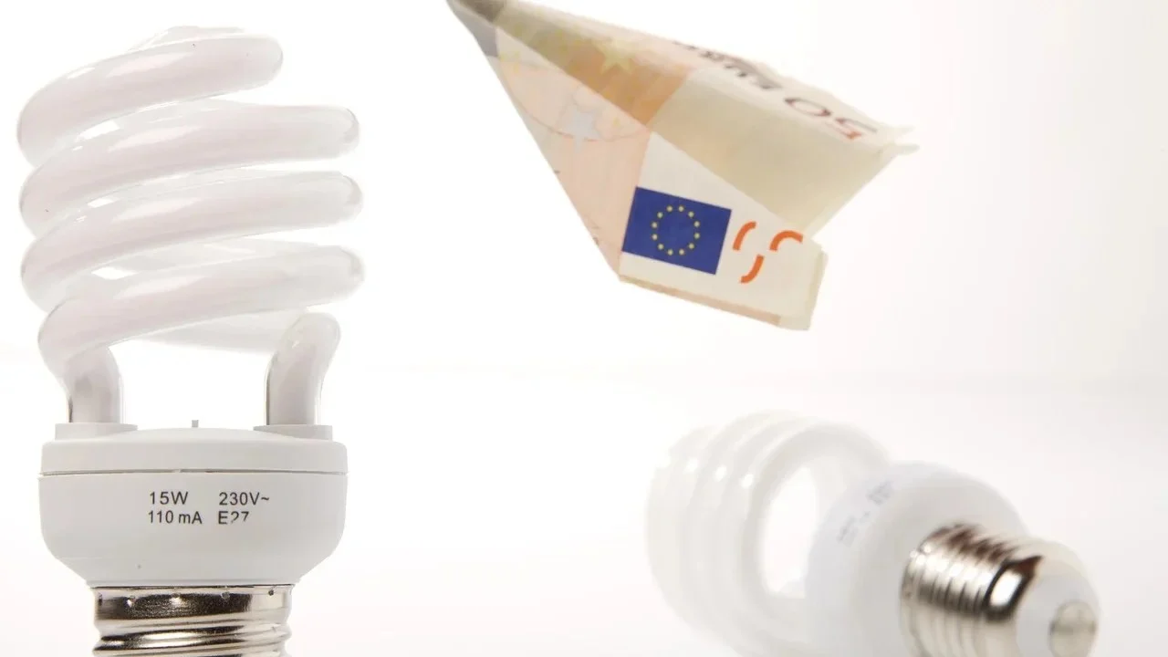 Save Shipping Cost Cost Efficiency