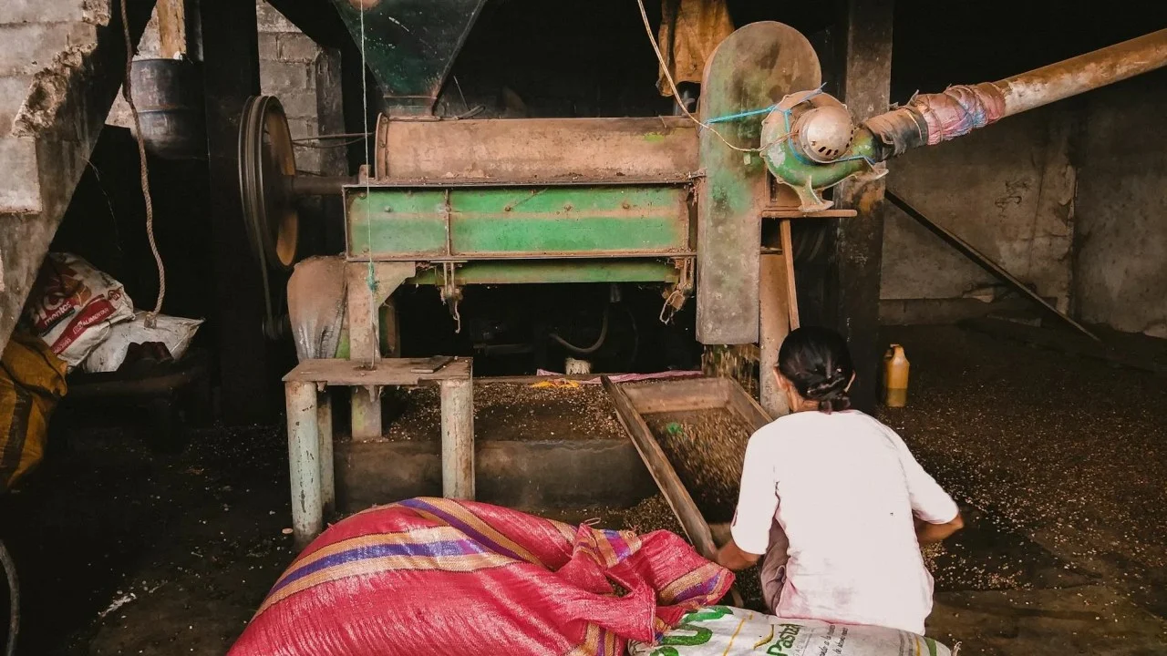 Factory Agriculture Processing