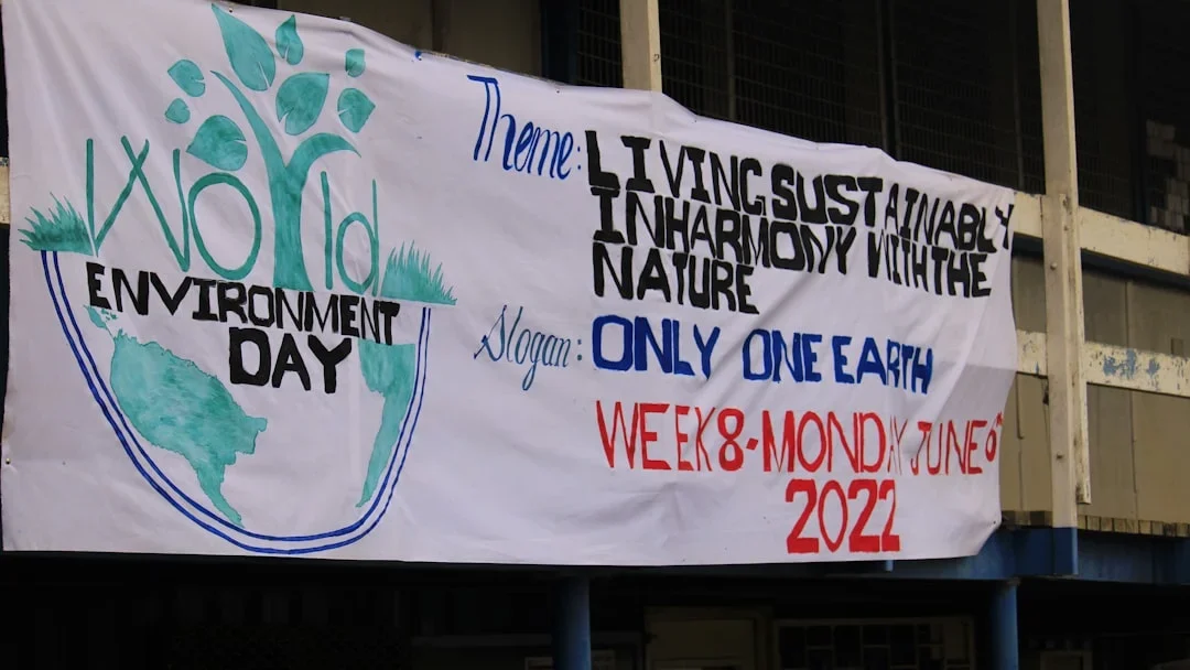 Environmental Issue Market Competition
