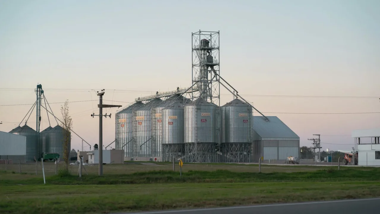 Factory Agriculture