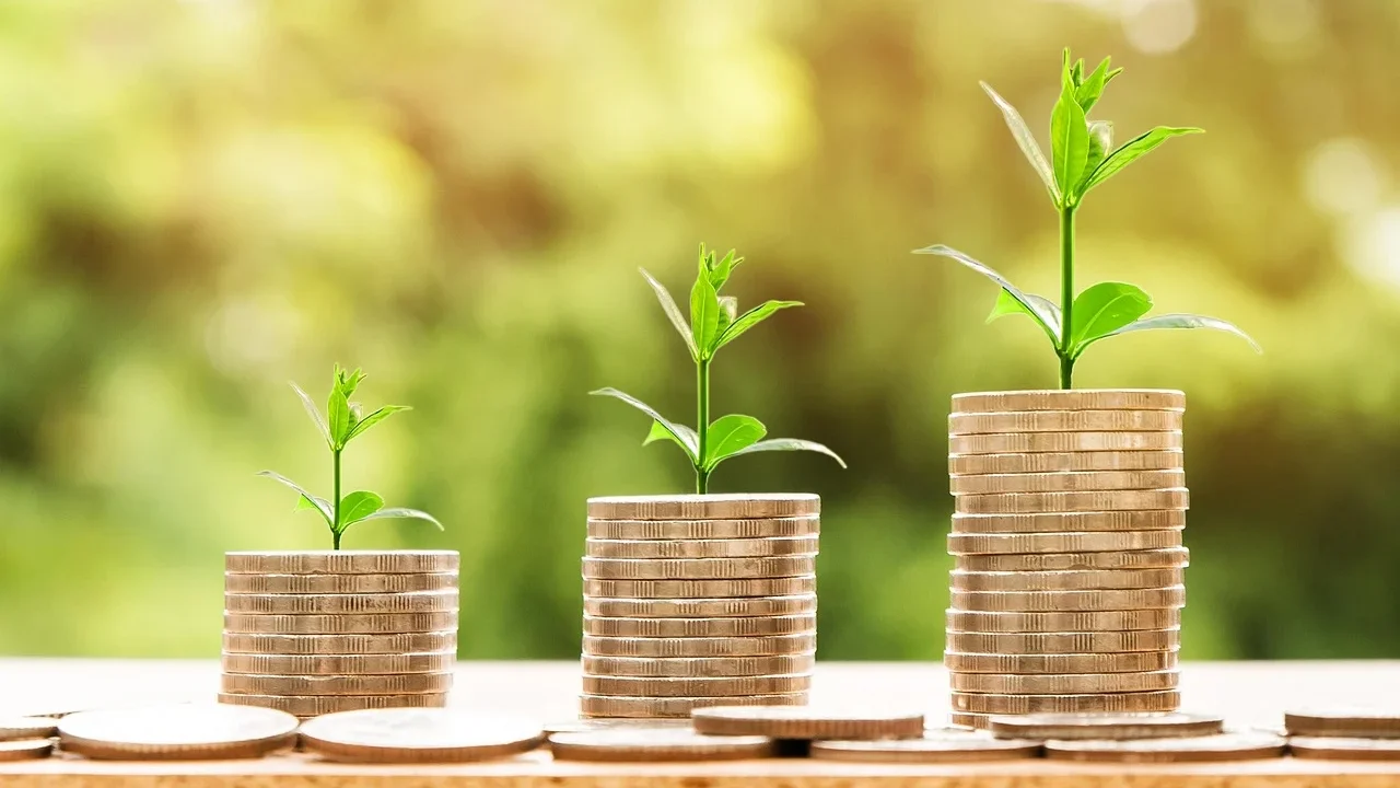 Investment Land Development