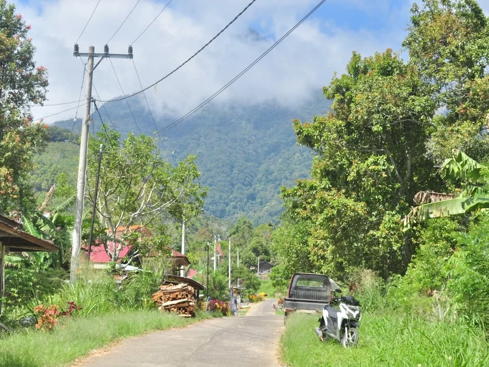Layanan Profesional Drg. Fepta Dea, Sp.KG Di Kabupaten Nganjuk