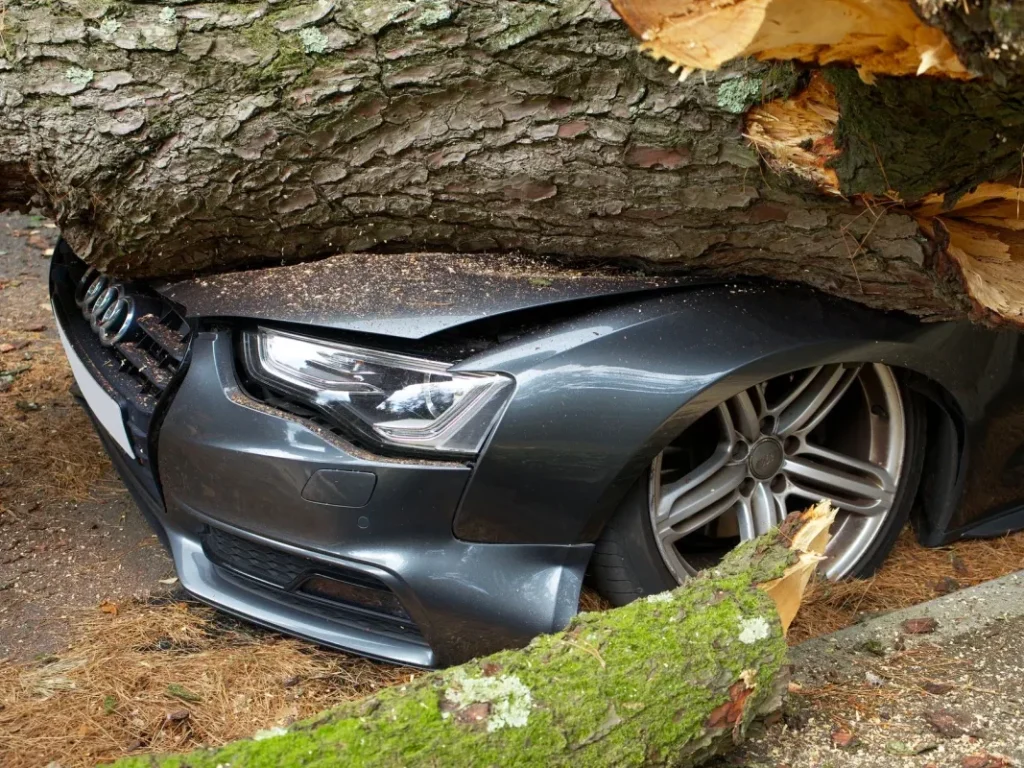 Car Insurance Vehicle Damage