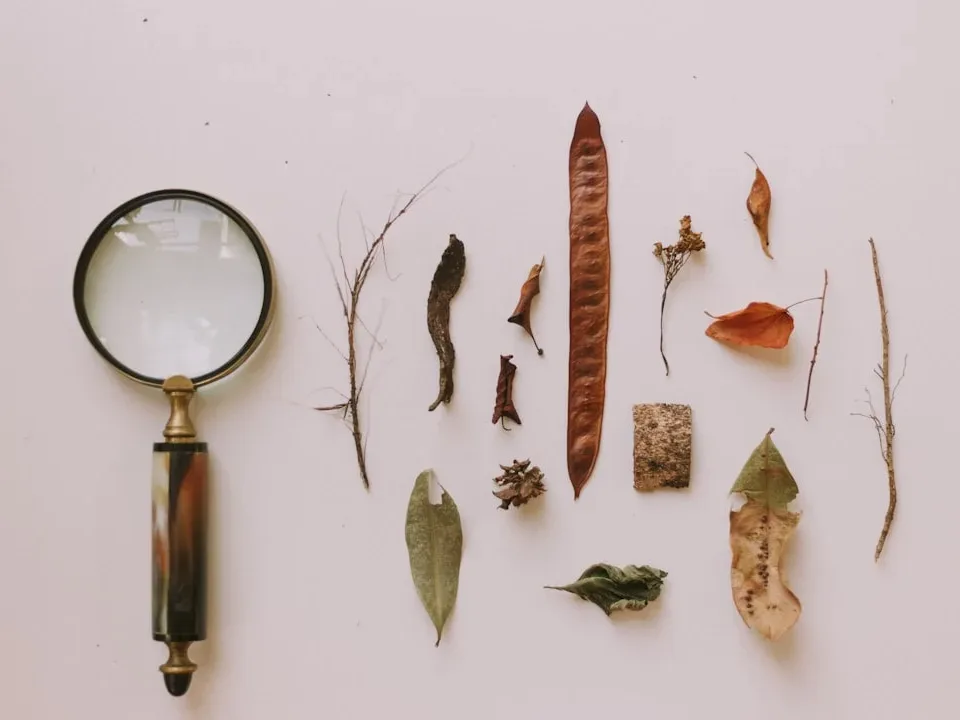 Checklist Magnifying Glass - Pinjaman Online Bunga Rendah