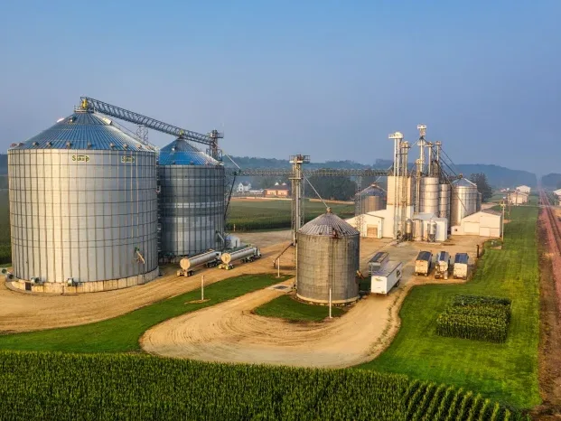 Factory Agriculture Small Business - Tools AI Terbaik