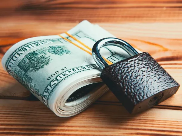 Financial Protection Money Shield - Fungsi Asuransi