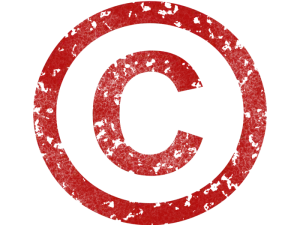 Identification Card Bank Statement Business License
