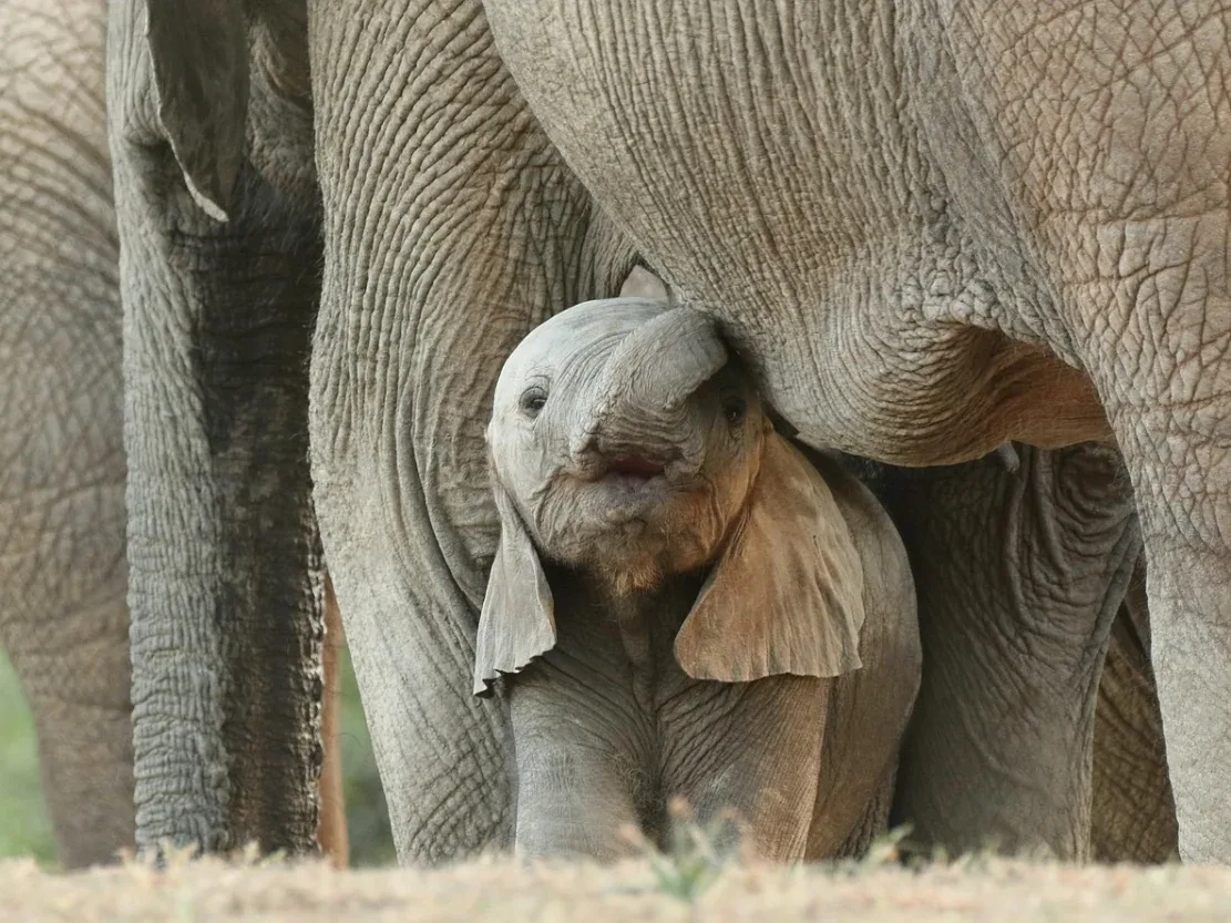 Life Insurance Family Protection - Asuransi Jiwa